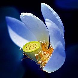 2024年的游戏刻板印象 英国新闻主持人嘲笑《俄罗斯方块》破纪录少年引热议